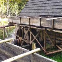 Na zdjęciu zachowane stare, czynne koło wodne.