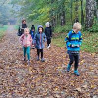 Na zdjęciach dzieci spacerują po skansenie. Trzymają się za ręce. W tle jesienna aura - drzewa z jeszcze zielonymi liśćmi na ziemi opadłe brązowe liście.